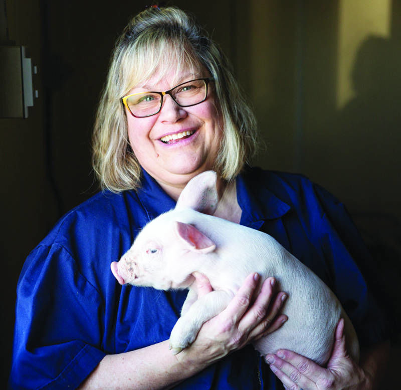 Swine & U Diane DeWitte